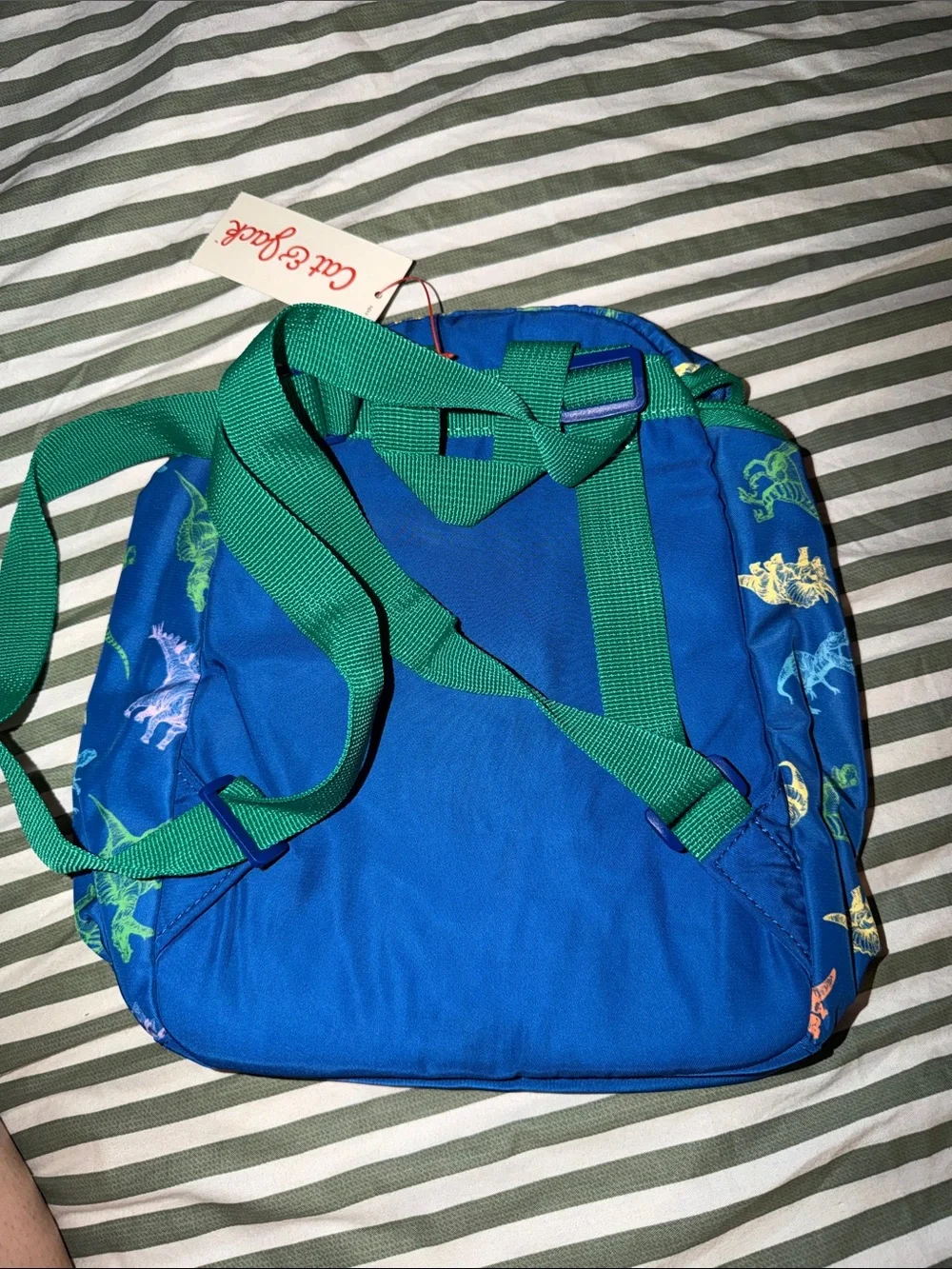 Cat & Jack Blue Dinosaur Print Kids Backpack